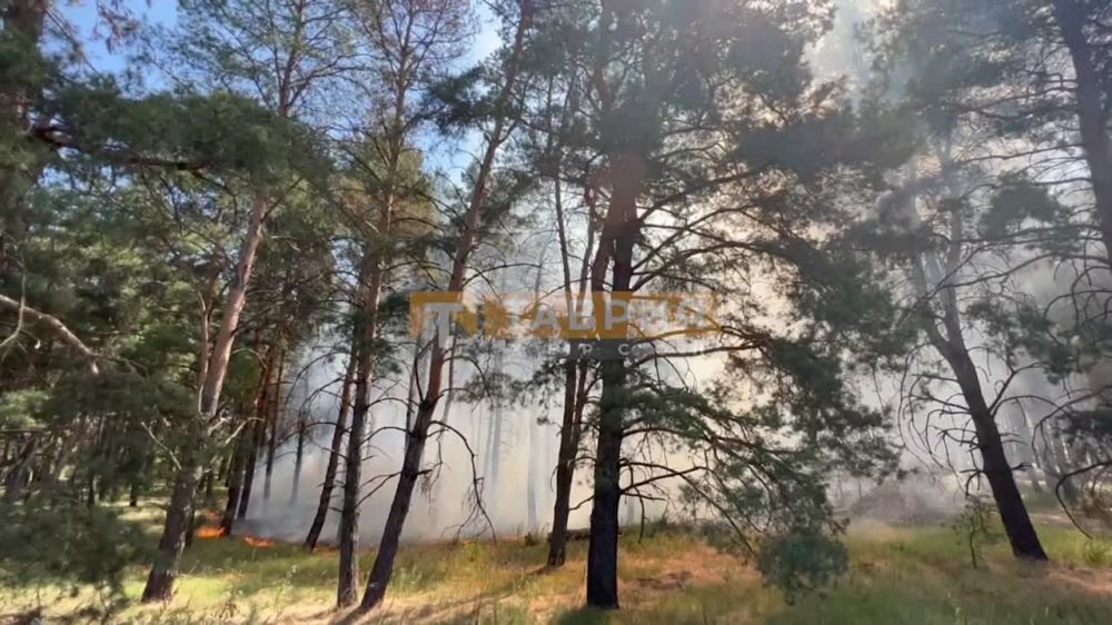 ��� ���������� ��� � ����������� ������, �������� �������������� "������"