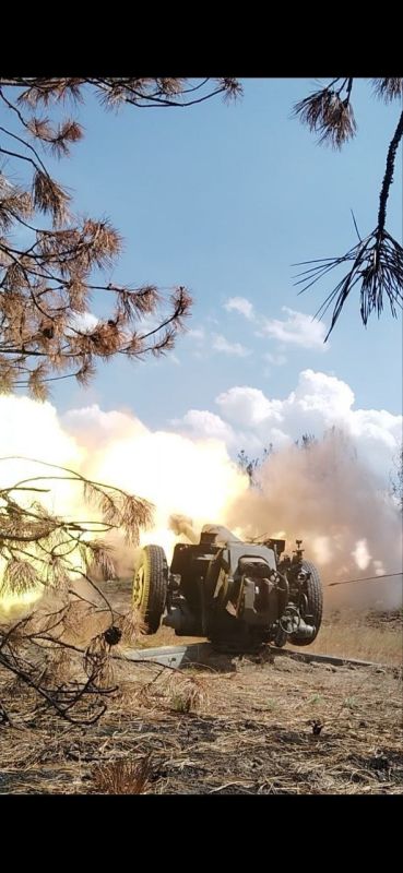 � ���� �����: ������� ���� ����� � ��������� ������ �� ������ ���� �������