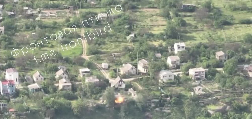 ���������� �����������. ������ �����. 20.08 12:50