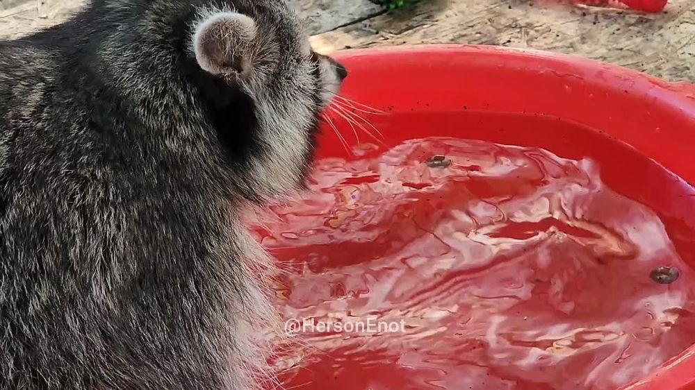 ���� �� �������: ������� ���� � �������� ���, ������!