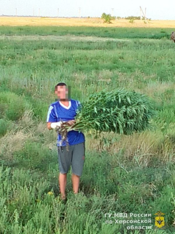 ����������� ���������� ������� ���������� � ������ � �������� ������ ����� �������