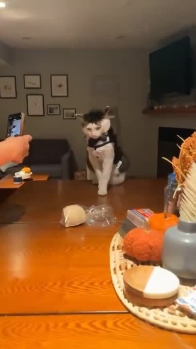 ��� ����� �������, �� �� ������� ����������� �����