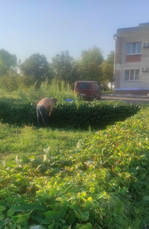 ���������� ������� �������������� �����