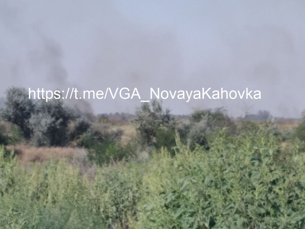 � ������������� ��������� ������ ����������� ������� ������������� ��������, ������������ ���������� ���