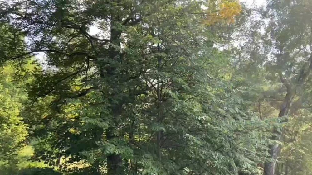 ��������� ���������� ������� ��������� �� ��������� �������