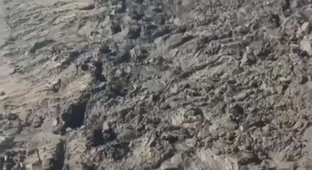 ���������� ��� ���� ����� �������� ��������� ����������� �� ���������� �����������