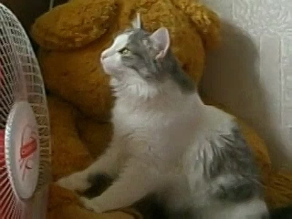 ��������, ��� ������ ������ �� �������� ���� ���������� � ������ ������