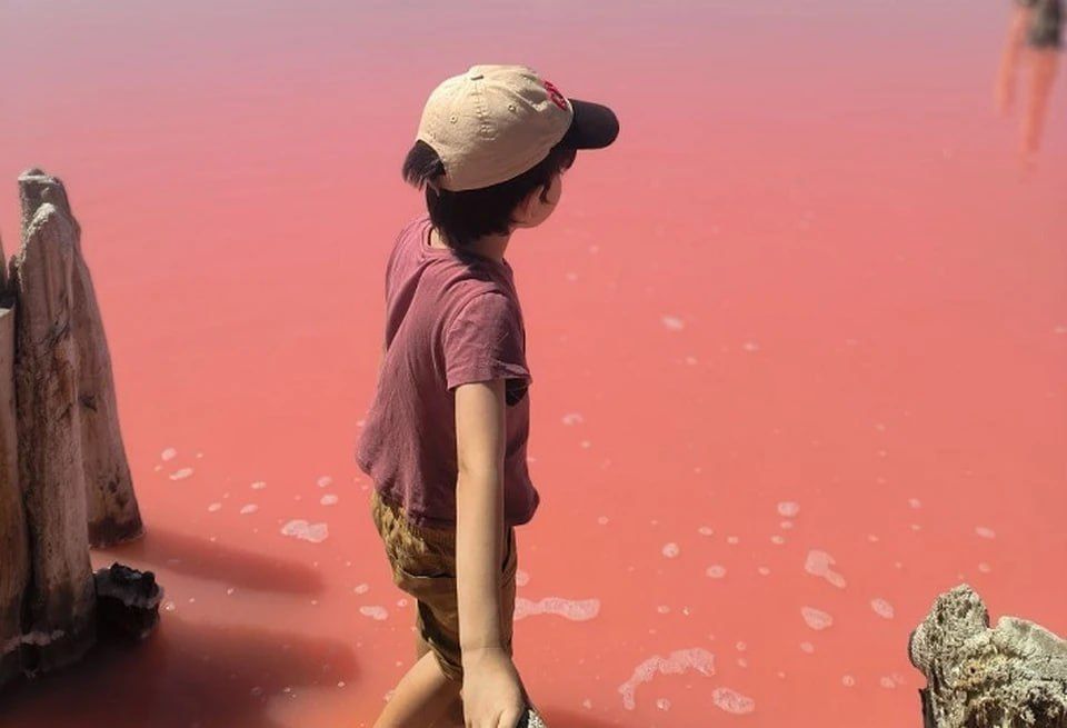 ���������� �������! ������������ ������� ���������� ������� �������� ���� ������� �������