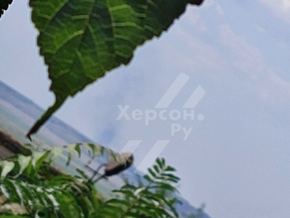 #��������. ����� ����� ������� ���������� �� ������� ���� � ������� �� ������ ������ �������� ������������ ���������� �������!! ������� ����� �� ������! �� ������ �