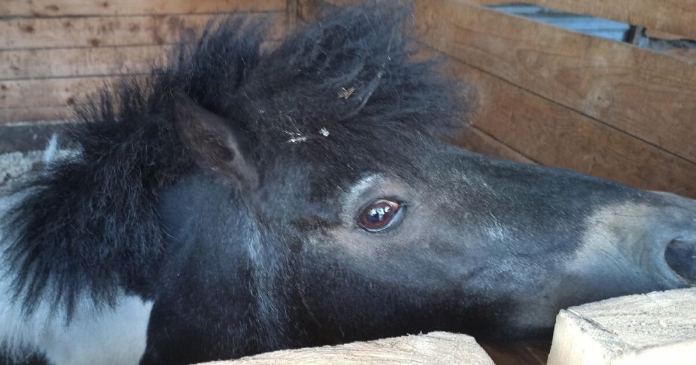 �����-��������� ������������ ���� � ���������� ������� ���������� � ���� ����� 100 ���� ����� ��� ��������