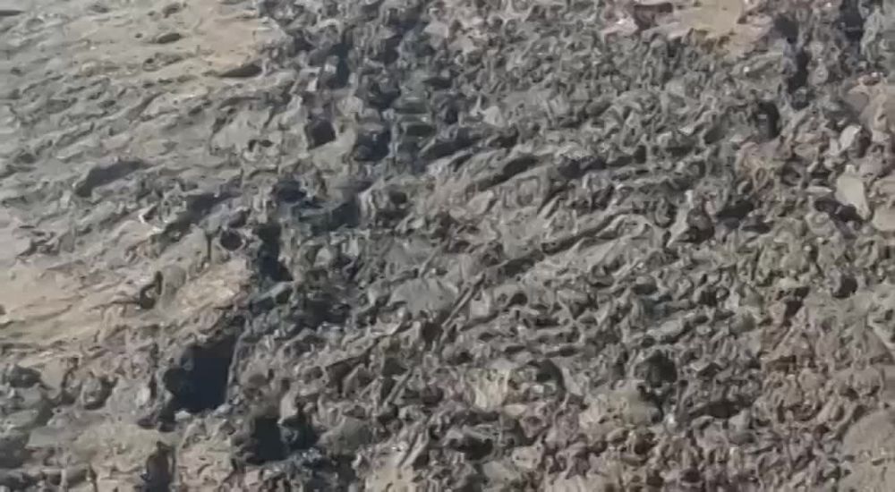 ����� �����: � ����� ������ ��������� ������ ������