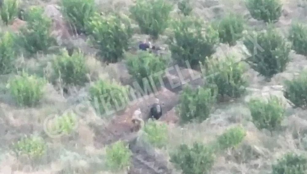 ���������� �����������