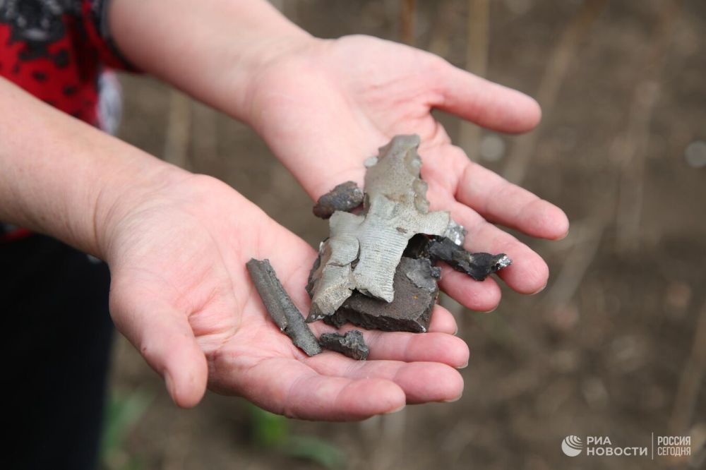 ��� ����� ����� ���������� ���������� �������