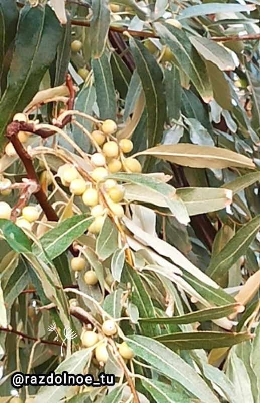 ����������! � ������ � ���������� ����� ������������!