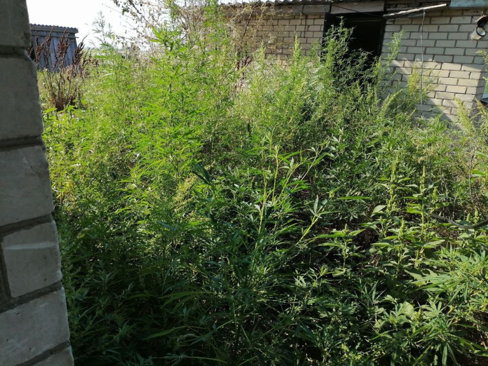 � ���� �������������� ���������������� ������ ��������������� ������ � �������� ������ ����� 180 ������ �������