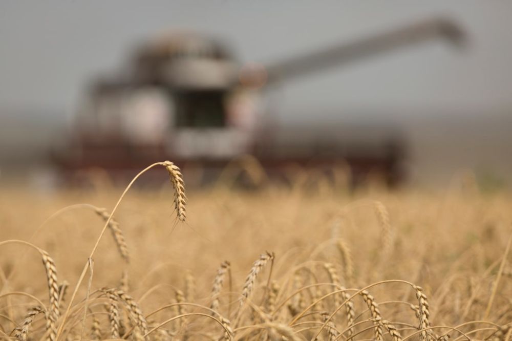 ����������� �� ���������� ��������� �������, �������� �� ������������� �� ������� ����� � ������