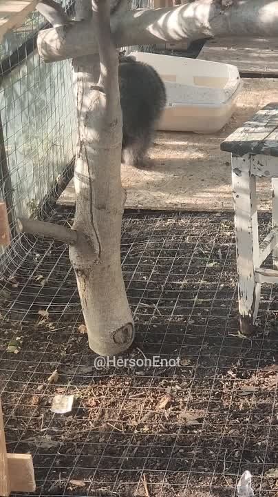 ���� �� �������: ����� ����� ���� � �����!. ���� �������� � ���� � ���������� � ���� �� ����������� �� ���. ����� ��������, ��� �� ������, � ����� ������, ��� ���� �������� �� �����