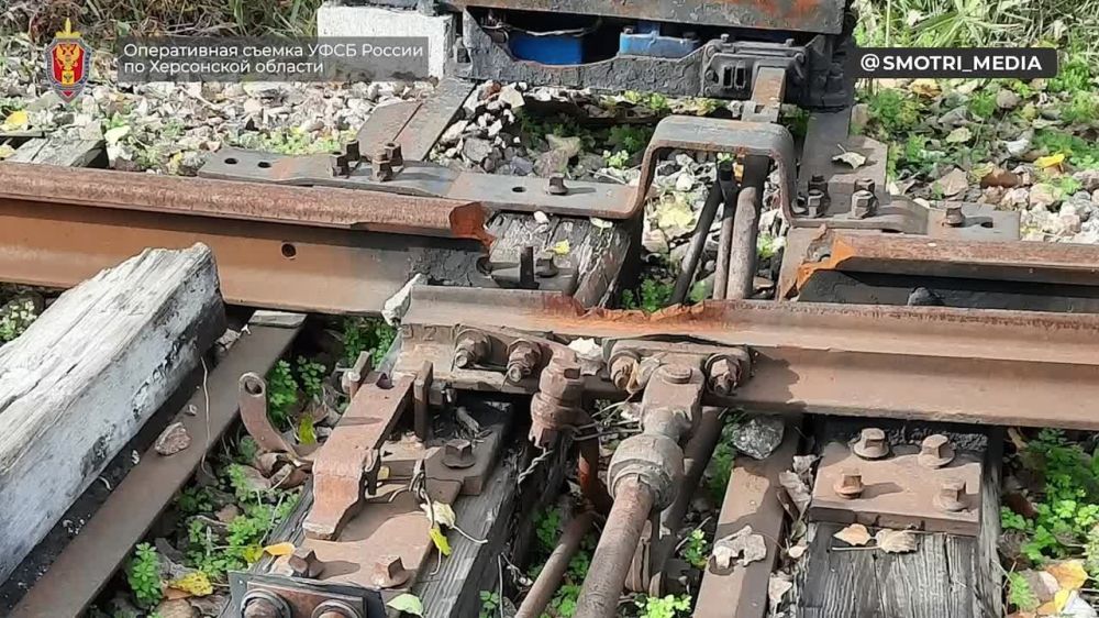 � ���������� ������� �������� ��������� ������� ������������� � �������� � ��������� ������������ ��������������