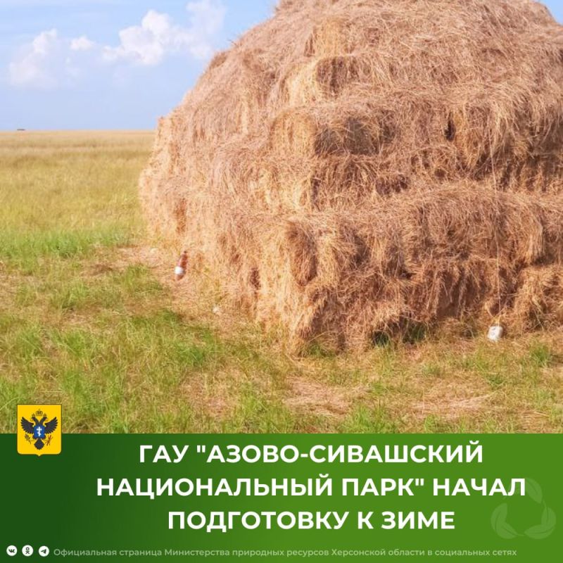 ��� ������-��������� ������������ ���� ����� ���������� � ����