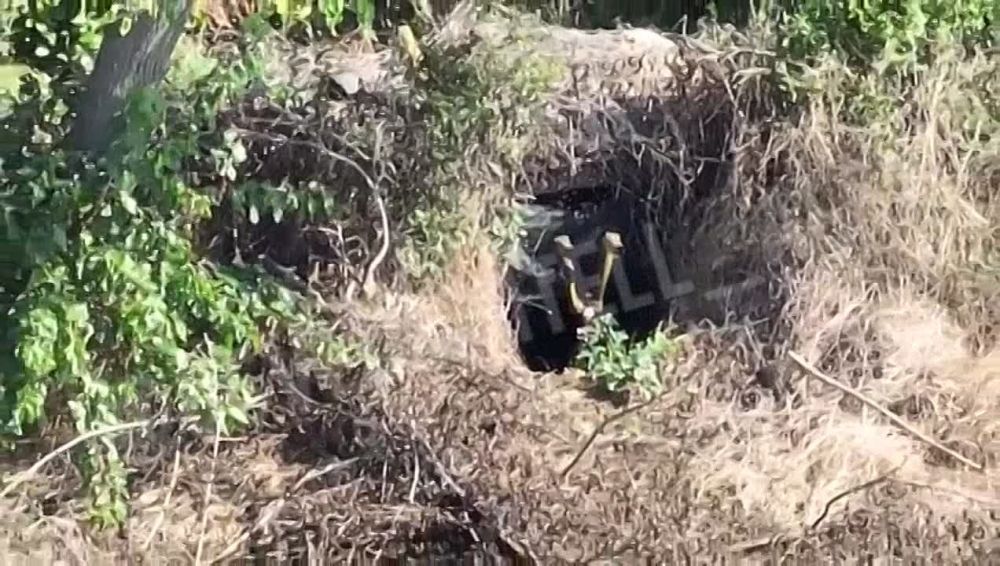 ������ �� ��������� � ����������� �������������� ������� ����� �� ������ ������ ���� ���������