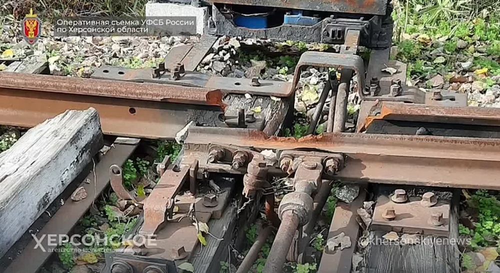 ���������� ���� ������ �� ���������� ������� ��������� ���������� �������, ������� ������������� � ��������