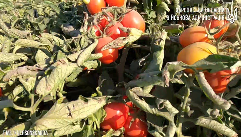 � �� ��� ������.... �� ������������ ���������� ���� ���� ������