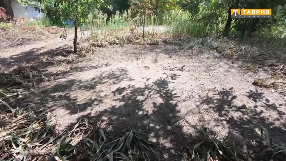 �������������� "������" �������� �� ����� ����������� �������� �� ������� ��� �� ���������� ����������� �����