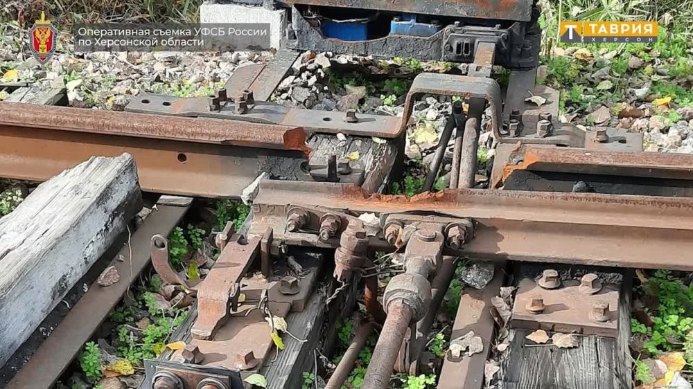 � ���������� ������� ��������� �������, ������� ����������� ������ ��������������� ����� � �������