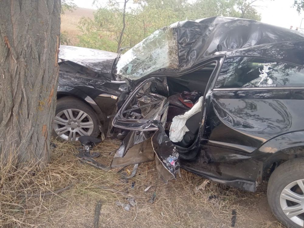 21.08 � 17.30 �� ������ �������� - �������-���� ����� �. �������� ��������� ��� � �������� 1-�� ����������