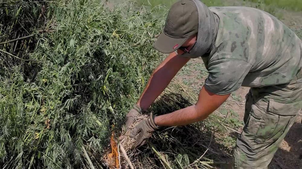 � ��������������� ������ ���������� ������� ������� ���������� ����� 2 ����� ������ ������������ �������