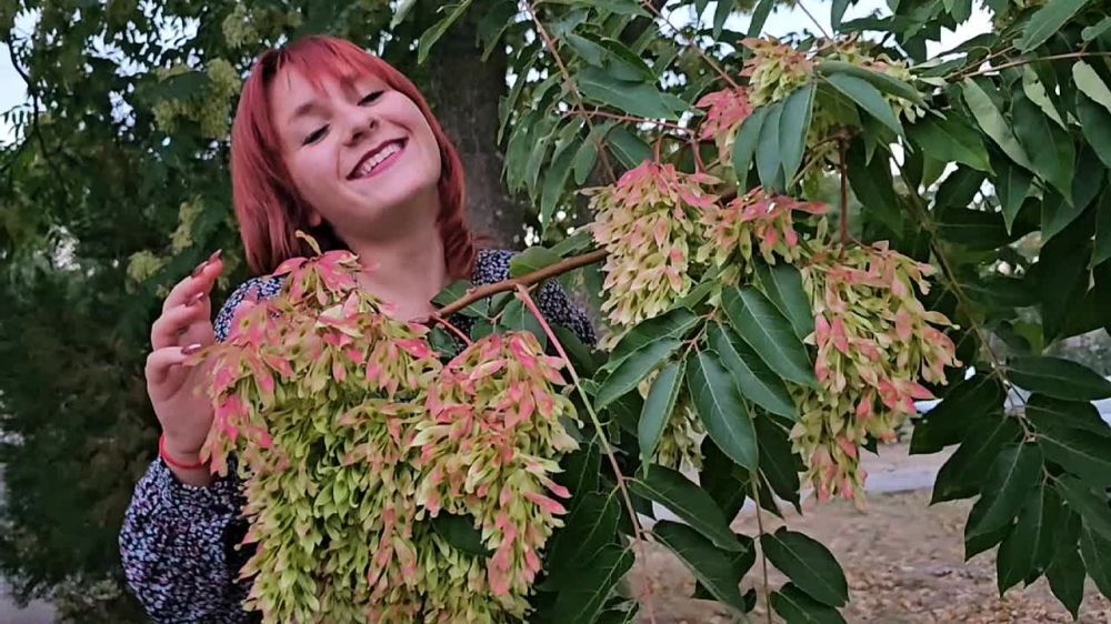 ���� � ��������� ���������� �������������� ������ ����������� ���������� ������� � ���� ���������������� �����