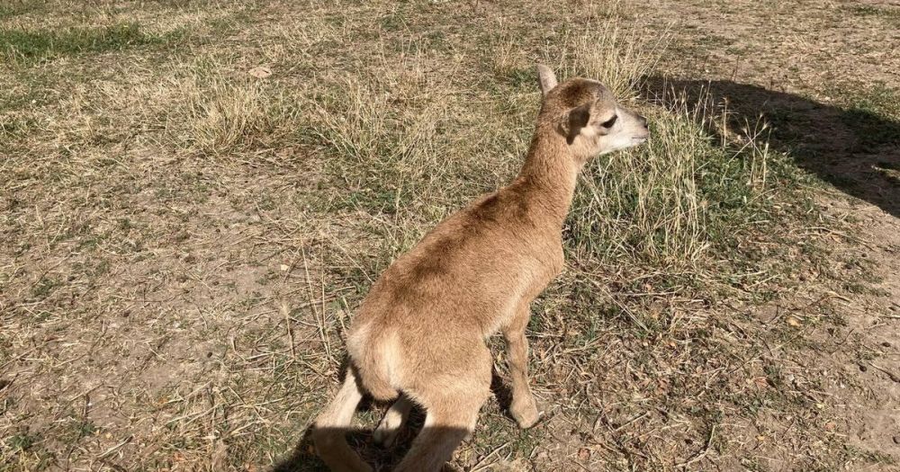 ������� ������� ������� �������� �� ���� � ����������� ���������� �������