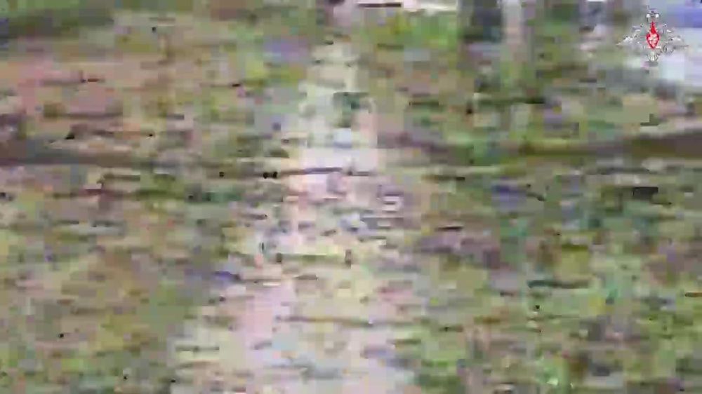 ������� �� �������: ���������� ��������� FPV-������ ������ ������ ���, ������������ �������� � ���������� �� ���������