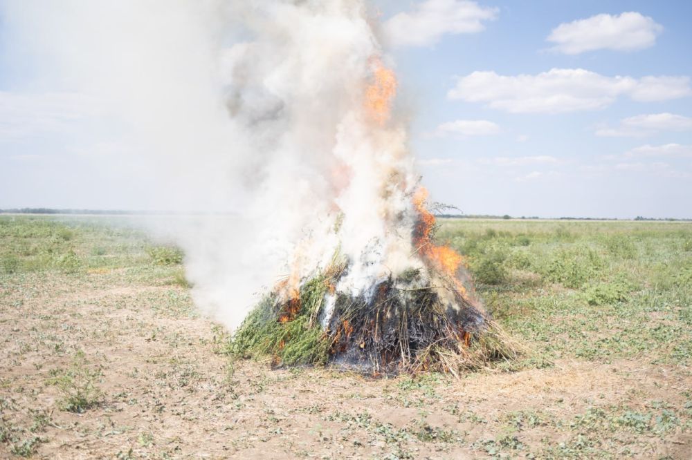 � ���������� ������� ������� ���������� 2 037 ������ ������������ �������