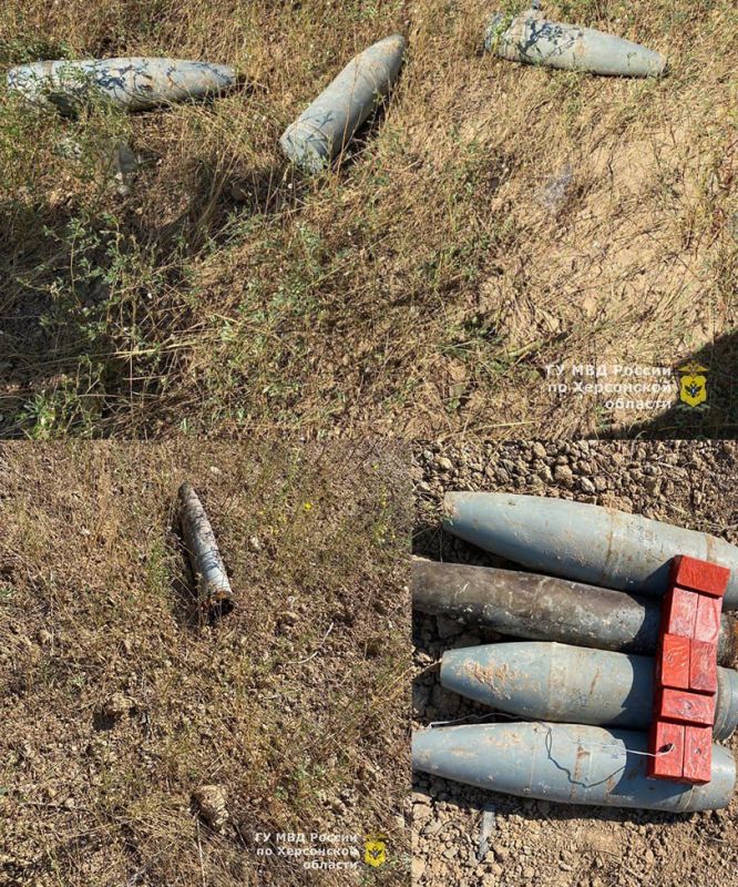 ���������� �� �������� � ���� �������� ��������������� ���������� ������ � ������������ ���