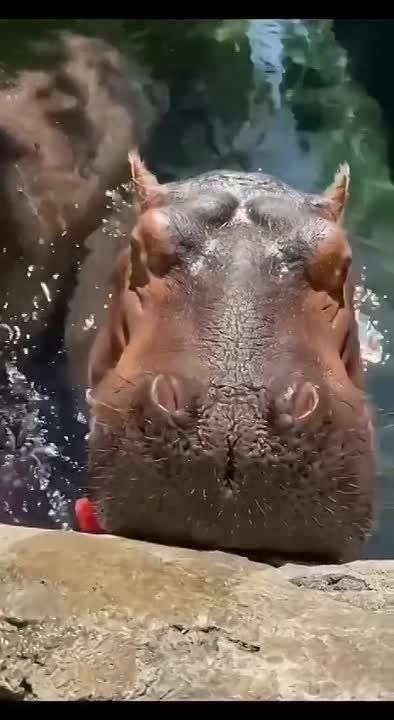 ����� ��� ������.... � ��� �� ��� ��� �������� ��� � ��������� � ���������