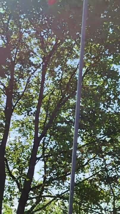 ���� ����� ������ � �������������� ������