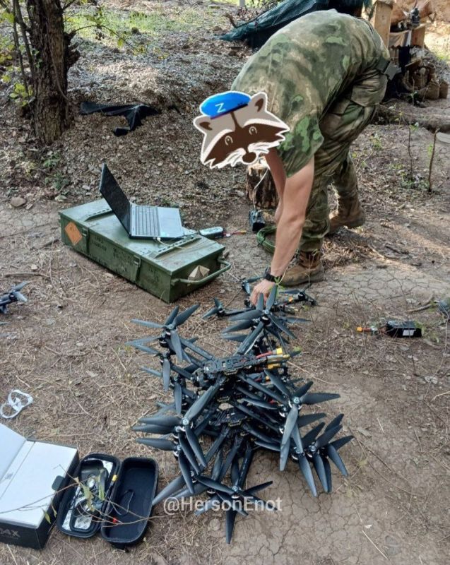 ���� �� �������: ������ ������ ������ ����� �����������