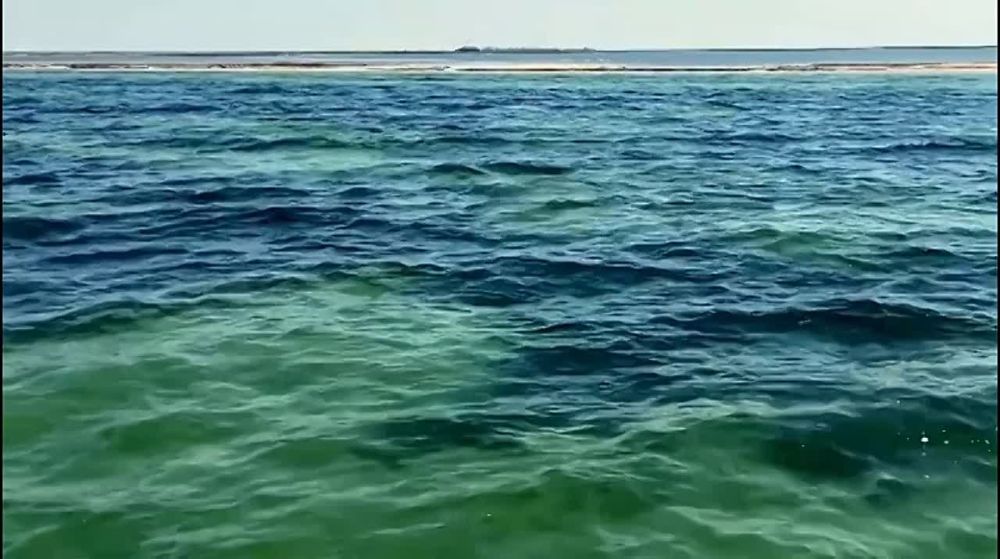 ���������� ������� ����� ������������ ������������� �� �������������� �������� #�������