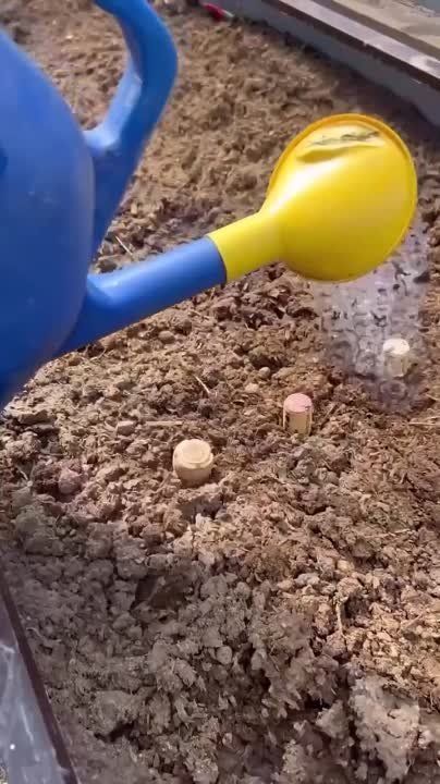 ������������ ������, ������� ������� �������� � ��������� ��� ���, � �� ���� ����������� ���� �����