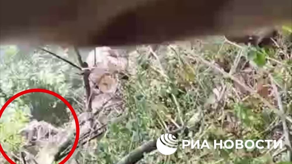 ����������� ������� ����������� ��� ��������� �� ����� ����� ������� ������