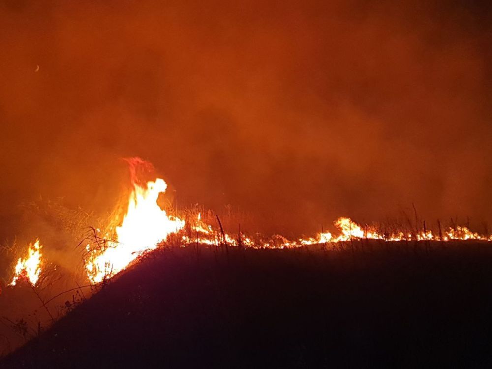 ���������� � ������� ���������������