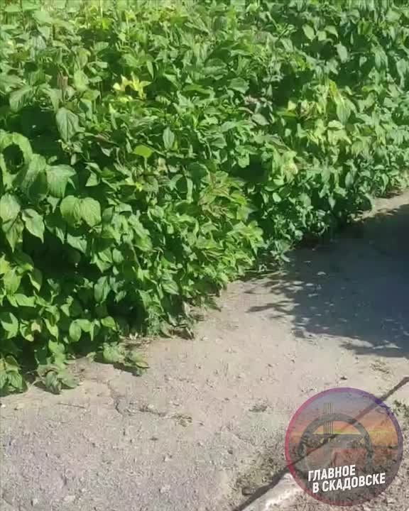 � �������������� ������ ������������ ��������������� ������������ ����������