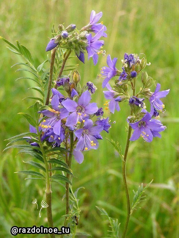 ����������!. � ������ �����! ����� ���� ����������!