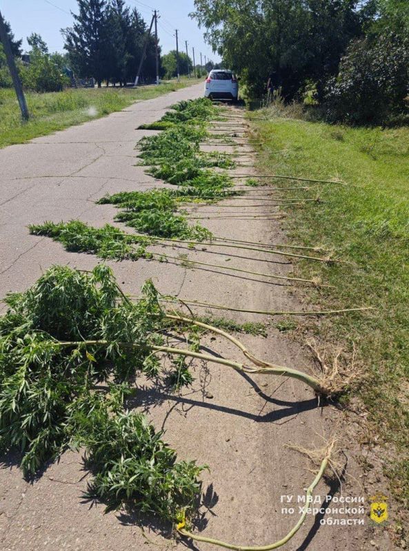 ������ ���������� �������� 70 ������ �������