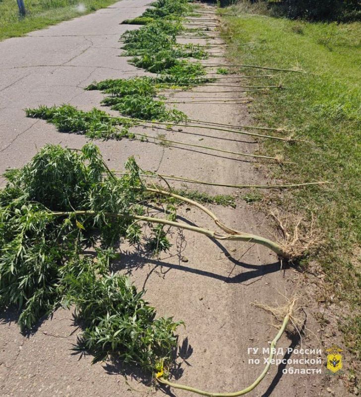 � ������ ��������� ��������������� ������ 70 ������ �������