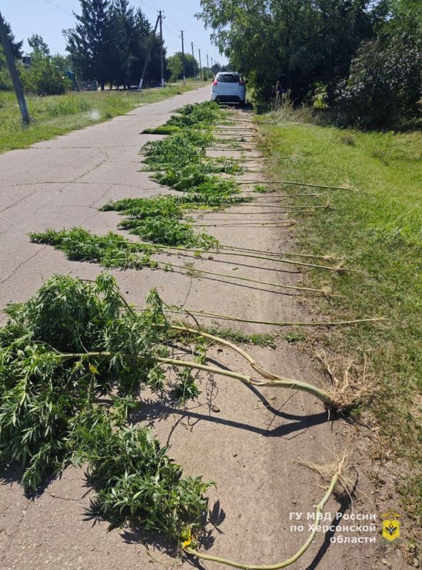 � ������������ ������ ���������� ������� ����������� ���������� � �������� ������ �������