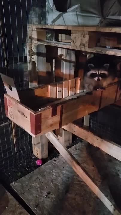 ���� �� �������: ������ ����, �������! �� � @HersonEnot ������� ��� ������ � ������ ���� ��� ������� ���������!