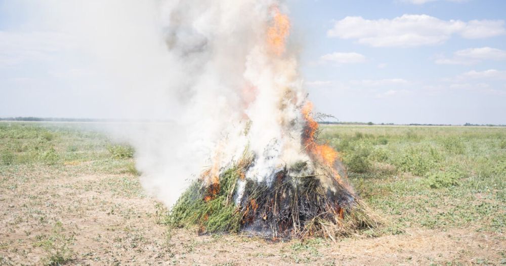 ����� ���� ��� ������ ������� ���������� � ������������ ���������