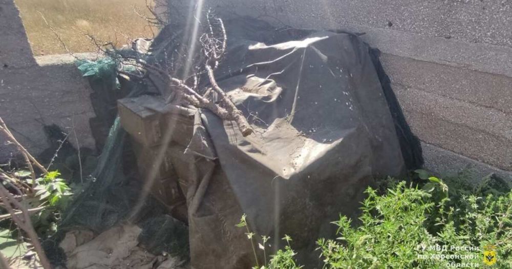 ����� 50 ������ �� ��������� ����� � ������� � ���������� �������